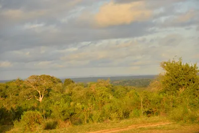 DSC_4327 (Large).JPG